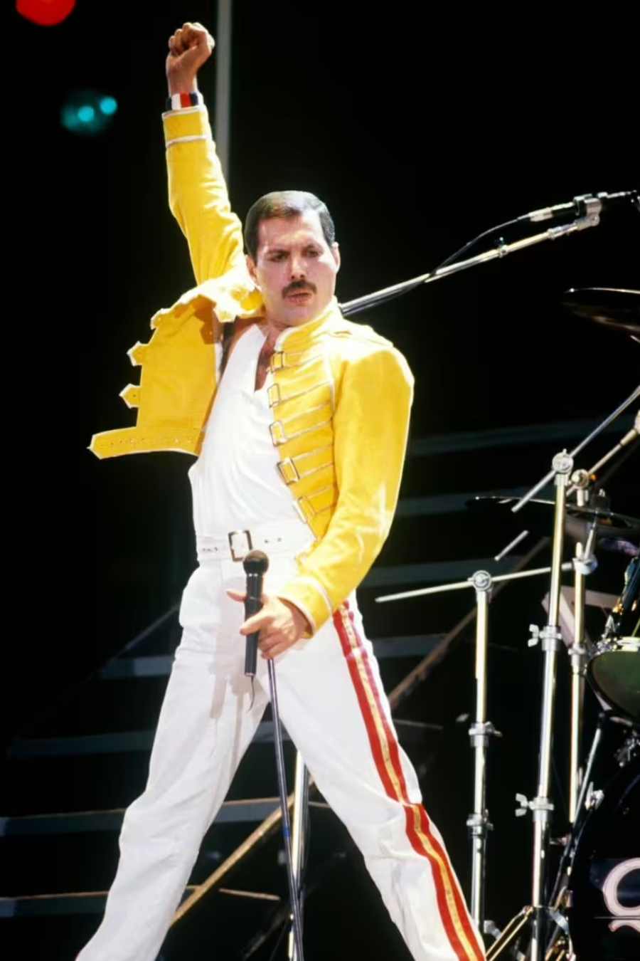 Freddie Mercury Secret Daughter Revealed in New Book
