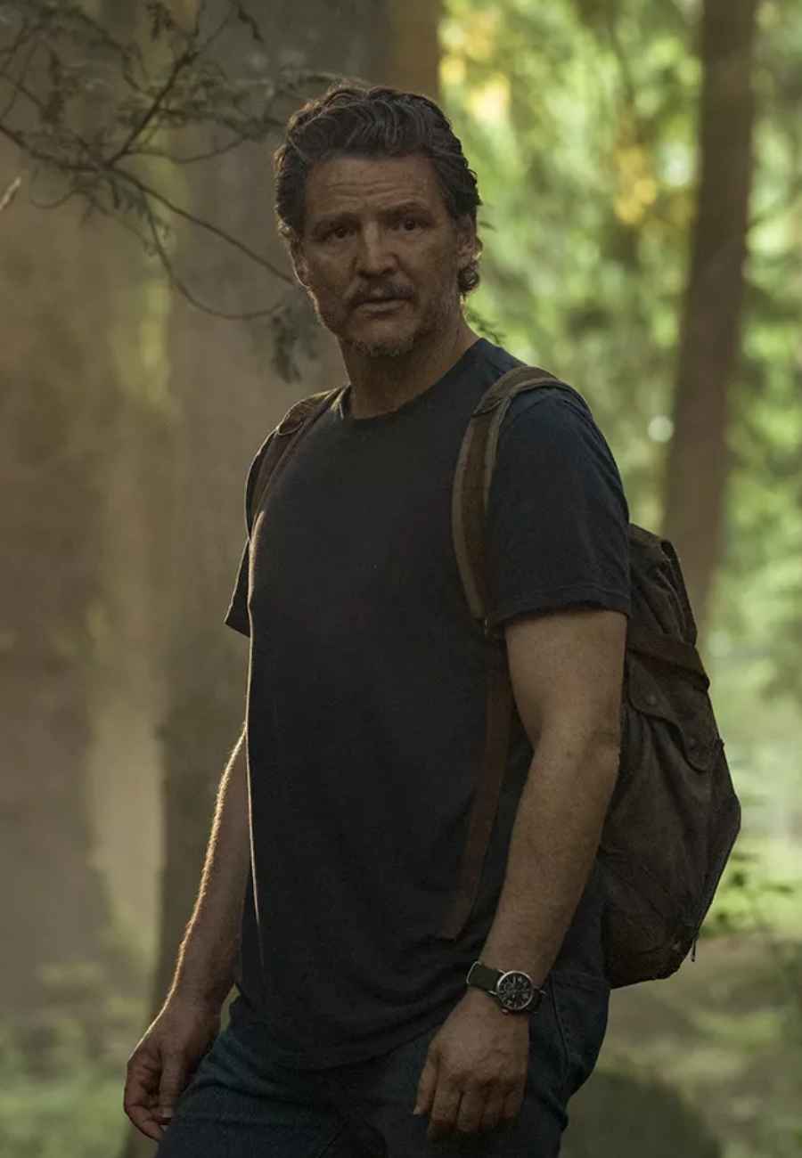 The Last of Us Season 3 Is Coming