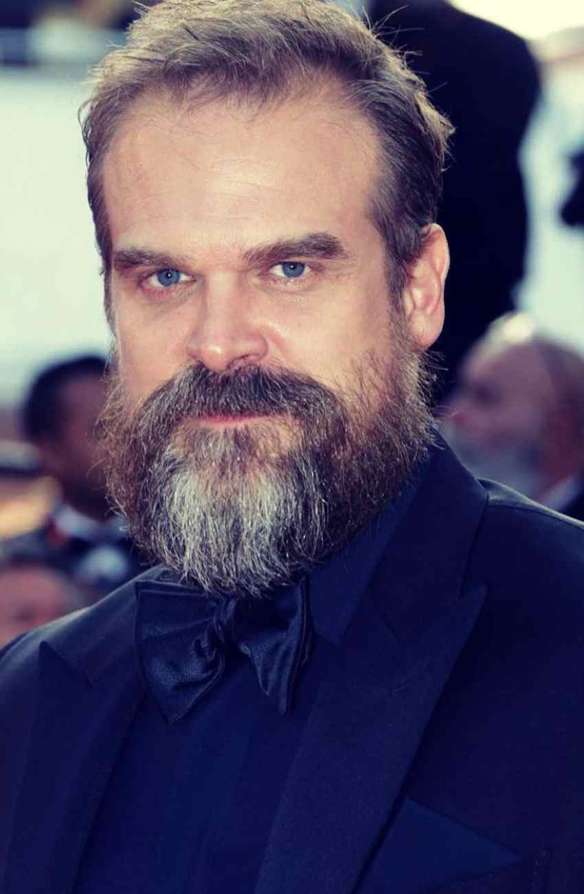 Why Did Millie Bobby Brown File Complaint Against David Harbour