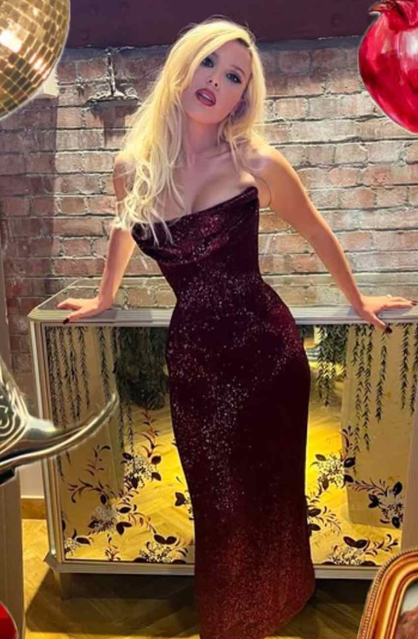 Why Did Millie Bobby Brown File Complaint Against David Harbour