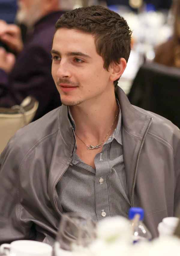 Timoth&eacute;e Chalamet attends the AFI Awards Luncheon without Kylie Jenner