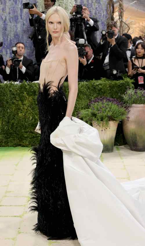 Met Gala 2026 Best Dressed Celebrities Revealed