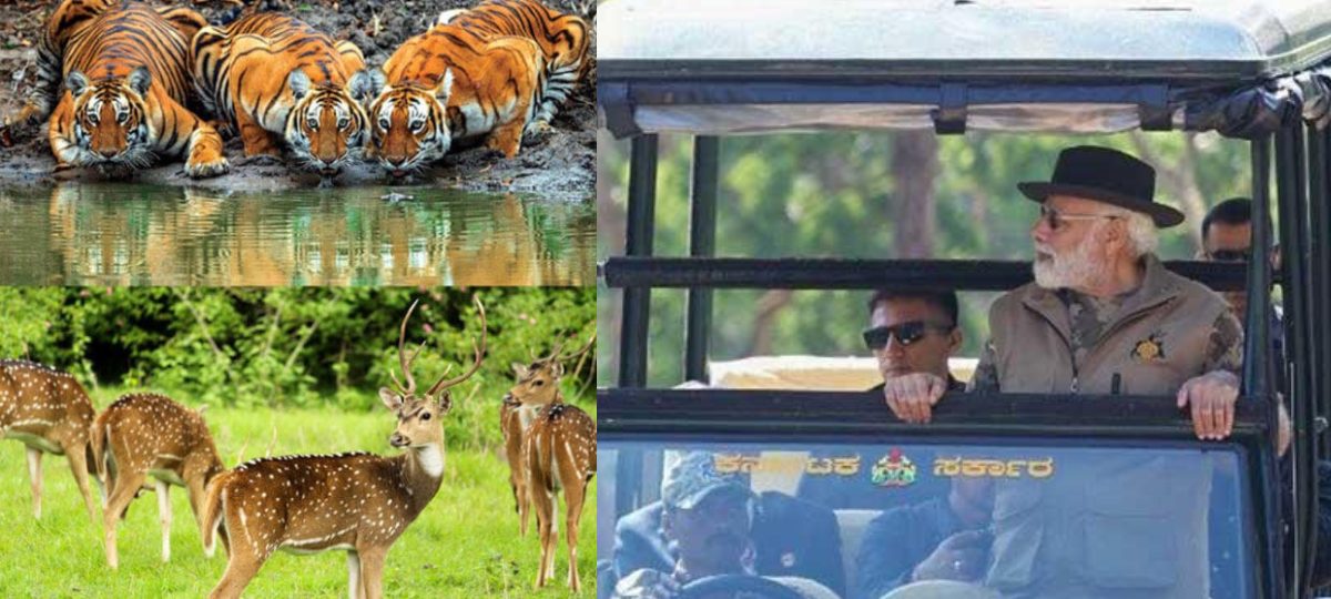 PM Modi was seen doing a safari in the forest of Bandipur