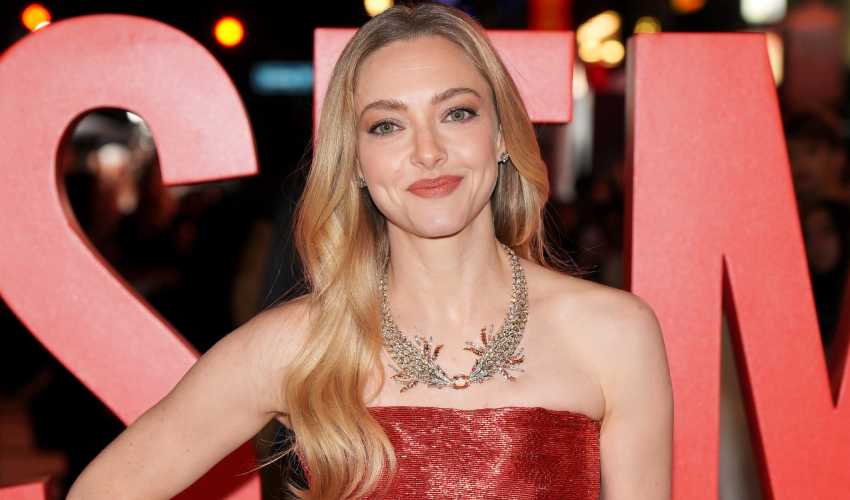 Amanda Seyfried Stuns at LA Premiere of The Housemaid