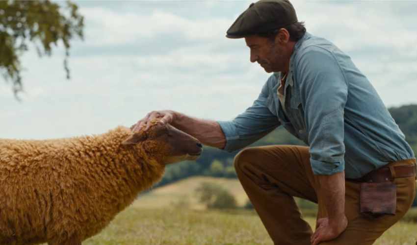 The Sheep Detectives