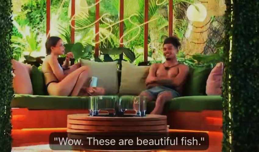 Love Island USA Fans Slam Sincere for Comparing Women to Fish