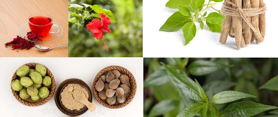 Ayurvedic Remedies for Diabetes Control