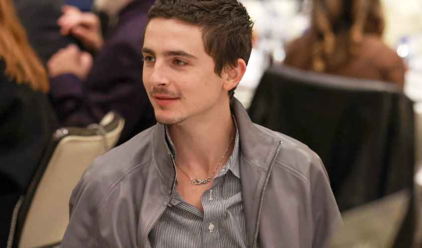 Timothée Chalamet flashes luxury necklace at AFI event alone